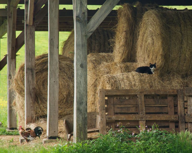 Pole Barn Construction in Kansas City, KS