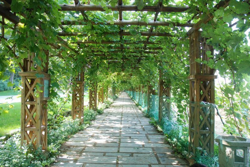 What To Expect During A Commercial Pergola Or Trellis Building Project