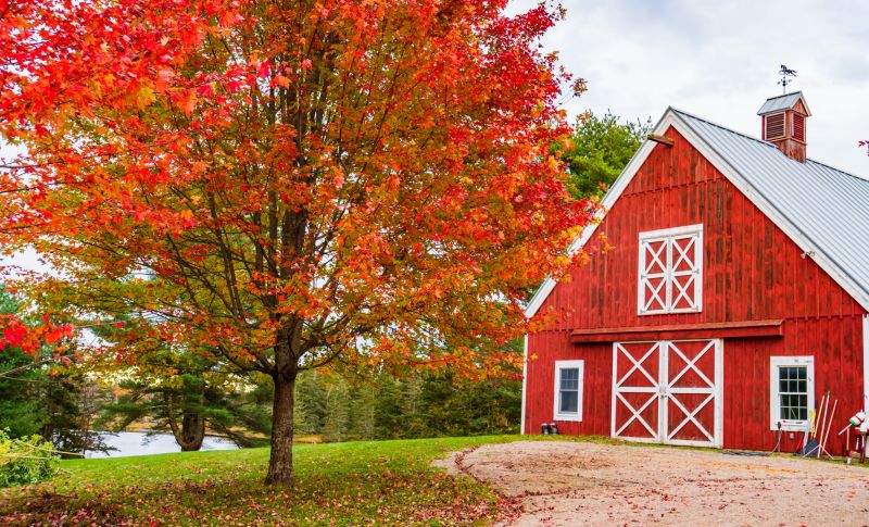 Barn Remodeling in Alpharetta, GA