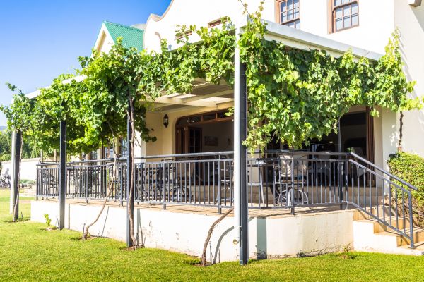 Grape Pergola Construction